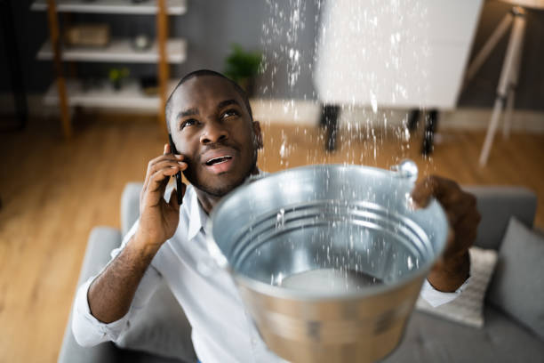 Best Sewage cleanup and water damage restoration  in Hopwood, PA